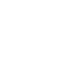 bizstone.ai logo